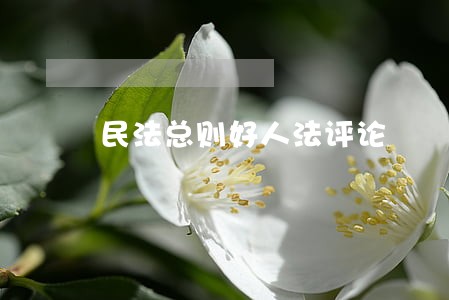 民法总则好人法评论 民法总则好人法评论