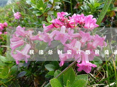 民法总则实行后民法通则将会怎么样 民法总则实行后民法通则将会怎么样