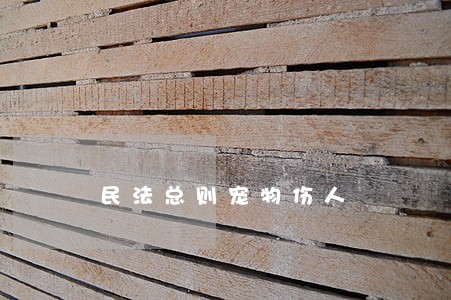 民法总则宠物伤人 民法总则宠物伤人