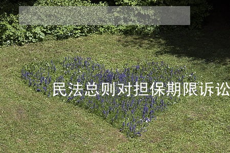 民法总则对担保期限诉讼时效性 民法总则对担保期限诉讼时效性