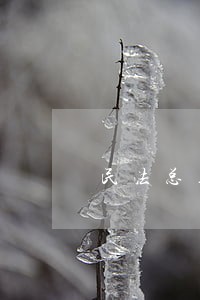 民法总则对监护人有争议的 民法总则对监护人有争议的