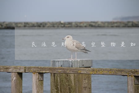 民法总则对高空坠物是如何规定的