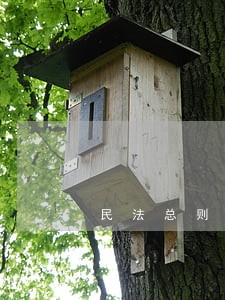 民法总则担保法 民法总则担保法