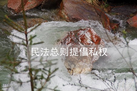 民法总则提倡私权 民法总则提倡私权