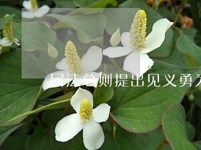 民法总则提出见义勇为