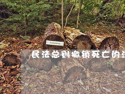 民法总则撤销死亡的法律后果