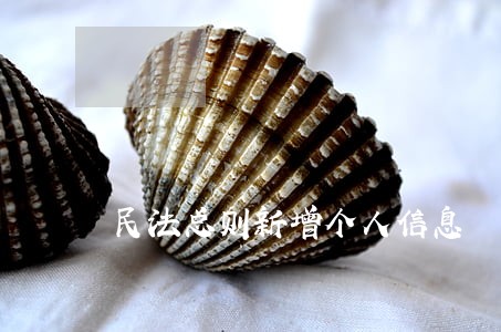 民法总则新增个人信息