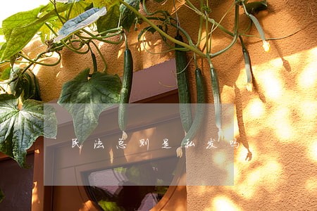 民法总则是私发吗 民法总则是私发吗
