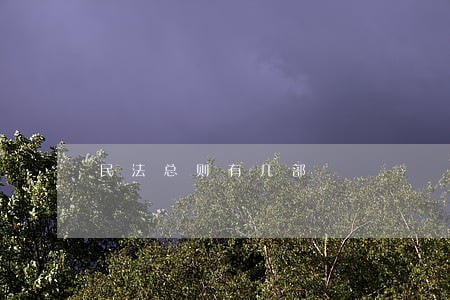 民法总则有几部 民法总则有几部