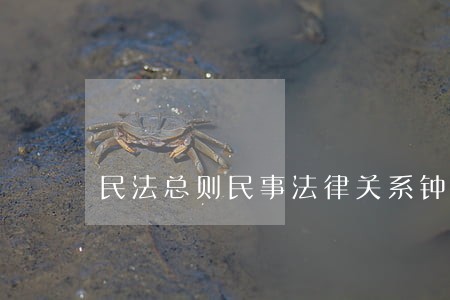 民法总则民事法律关系钟秀勇