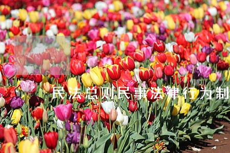 民法总则民事法律行为制度 民法总则民事法律行为制度