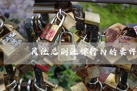 民法总则法律行为的要件