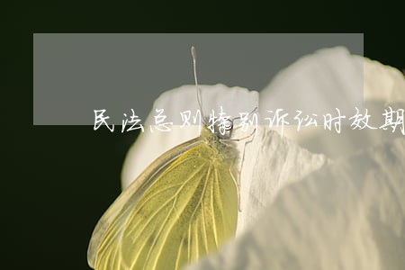 民法总则特别诉讼时效期间是几年 民法总则特别诉讼时效期间是几年
