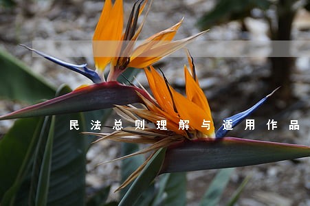民法总则理解与适用作品 民法总则理解与适用作品