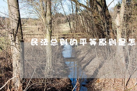 民法总则的平等原则是怎样理解的 民法总则的平等原则是怎样理解的