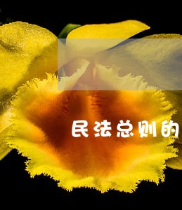 民法总则的开放性法人制度 民法总则的开放性法人制度