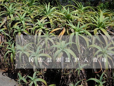 民法总则监护人资格 民法总则监护人资格