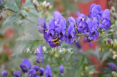 民法总则研究 民法总则研究