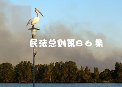 民法总则第86条 民法总则第86条