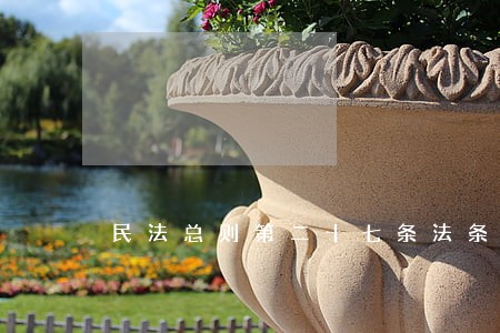 民法总则第二十七条法条分析 民法总则第二十七条法条分析