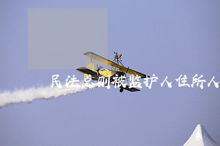 民法总则被监护人住所人
