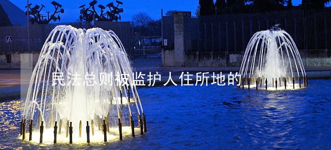 民法总则被监护人住所地的