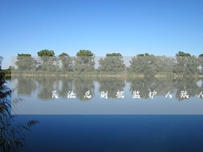 民法总则被监护人致人损害 民法总则被监护人致人损害