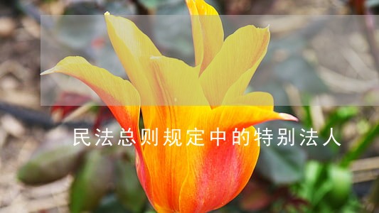 民法总则规定中的特别法人 民法总则规定中的特别法人