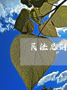 民法总则规定十六周岁以上的未成年 民法总则规定十六周岁以上的未成年