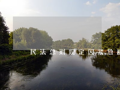 民法总则规定因紧急避险造成损害的