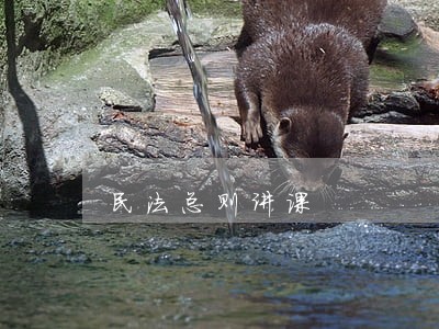 民法总则讲课 民法总则讲课
