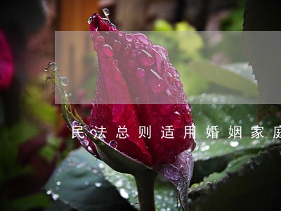 民法总则适用婚姻家庭 民法总则适用婚姻家庭