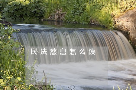 民法慈息怎么读 民法慈息怎么读