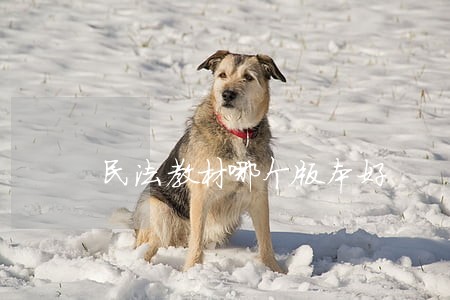 民法教材哪个版本好 民法教材哪个版本好