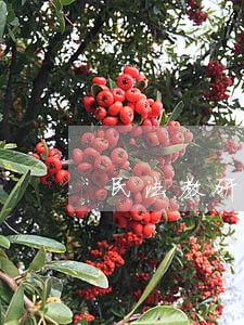 民法教研部王静波老师示范公开课