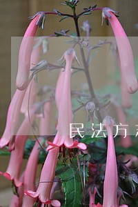 民法方志萍 民法方志萍