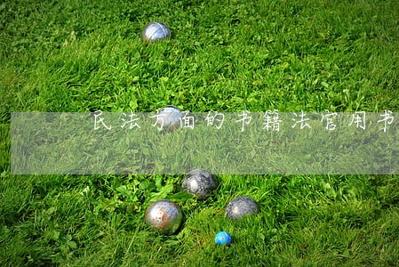 民法方面的书籍法官用书 民法方面的书籍法官用书