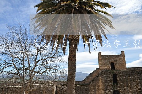 民法是21世纪法学王利明