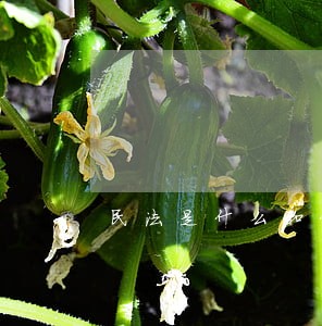 民法是什么和什么的法律制度