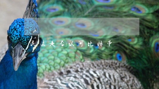 民法是否认可比特币 民法是否认可比特币