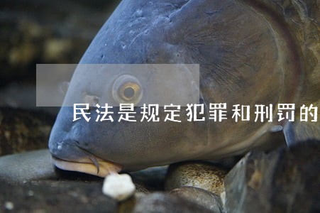 民法是规定犯罪和刑罚的 民法是规定犯罪和刑罚的