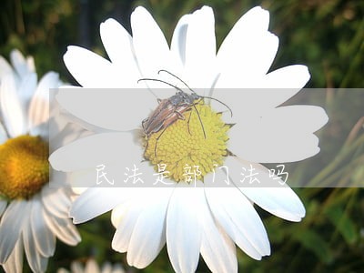 民法是部门法吗 民法是部门法吗