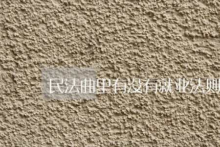 民法曲里有没有就业法则 民法曲里有没有就业法则