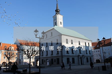 民法有哪些基本准则 民法有哪些基本准则
