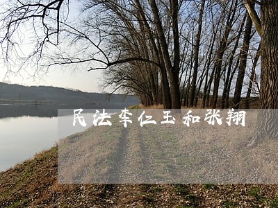 民法李仁玉和张翔 民法李仁玉和张翔