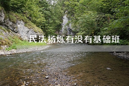 民法杨烁有没有基础班 民法杨烁有没有基础班