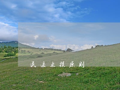 民法止损原则 民法止损原则