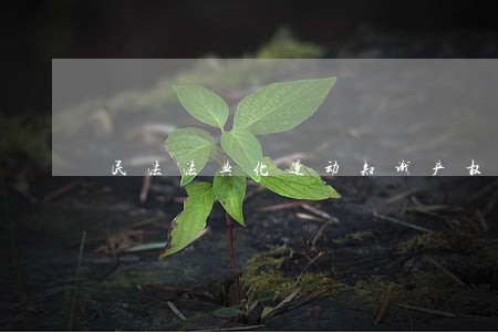 民法法典化运动知识产权法研究