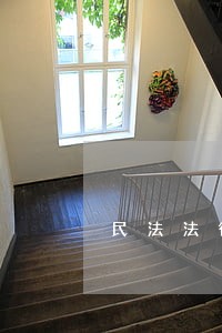 民法法律行为的效力 民法法律行为的效力