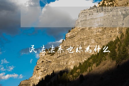 民法法系也称为什么 民法法系也称为什么
